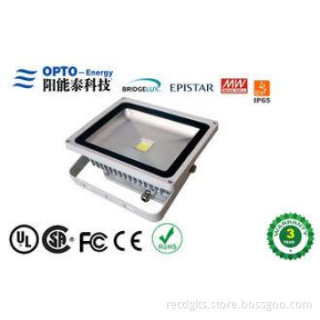 Aluminum 50W COB Outdoor Led Flood Lights Replacement AC110